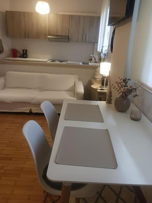 Beautiful Downtown Studio! 约阿尼纳 外观 照片
