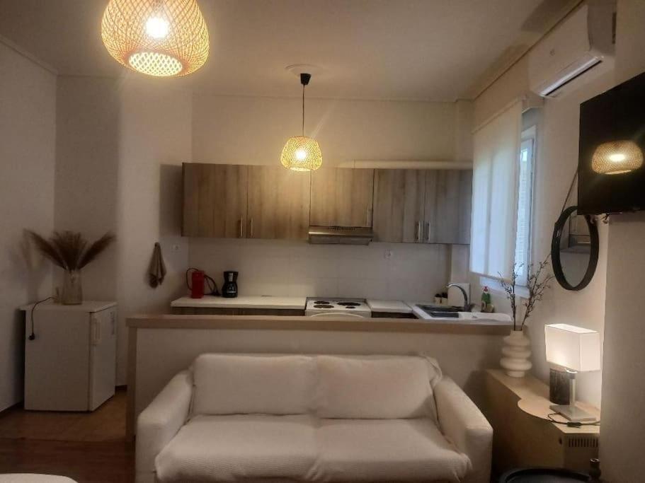 Beautiful Downtown Studio! 约阿尼纳 外观 照片